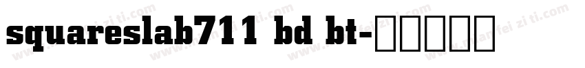 squareslab711 bd bt字体转换